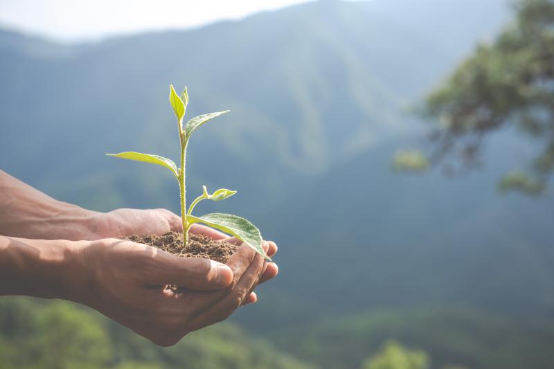 Sustentabilidade como Vantagem Competitiva: Como a Gestão Ambiental pode Impulsionar seu Negócio Sustentabilidade como Vantagem Competitiva: Como a Gestão Ambiental pode Impulsionar seu Negócio